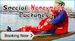 Honeymoon in Houseboat
